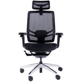 Компьютерное кресло InFlex X