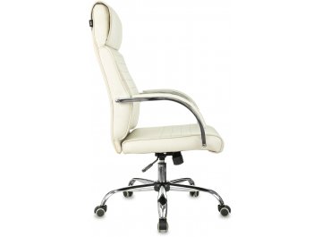 Компьютерное кресло T-8010SL