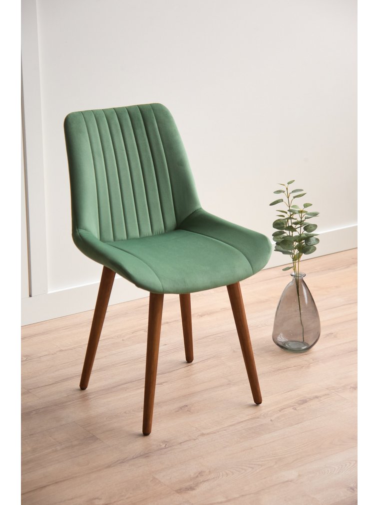 Деревянный стул Седа фисташковый (zd 651) / темное дерево