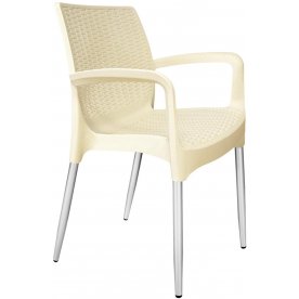 Пластиковый стул SHT-S68/S424-С