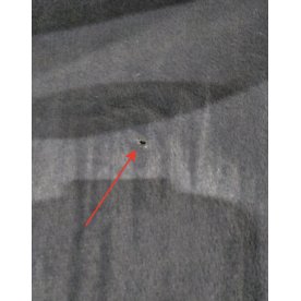 Стул на металлокаркасе Dabl