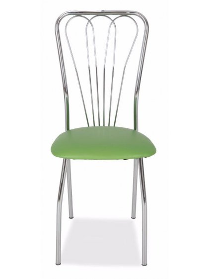 Стул на металлокаркасе DY-B608 green (r83)