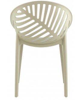 Пластиковый стул Мимоза