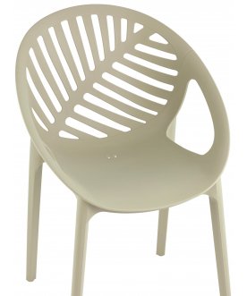 Пластиковый стул Мимоза