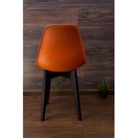 Пластиковый стул Сашш