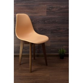 Пластиковый стул Сашш