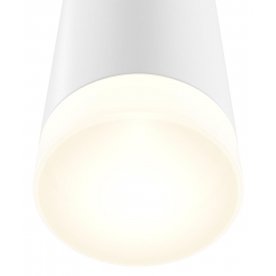 Настенный светильник Dafne C027WL-L10W