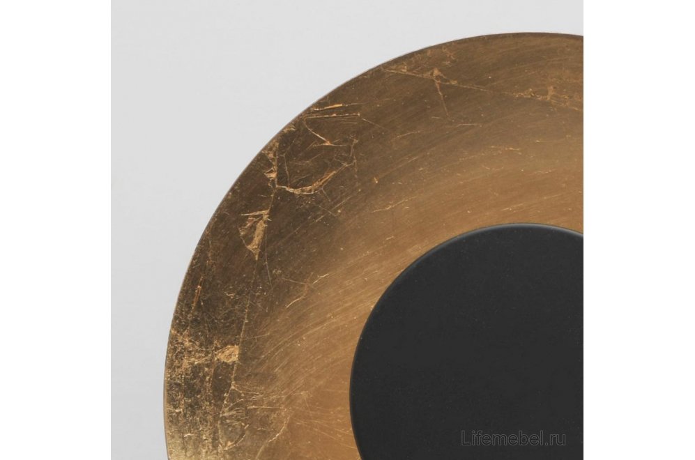 Спот Галатея 452024804