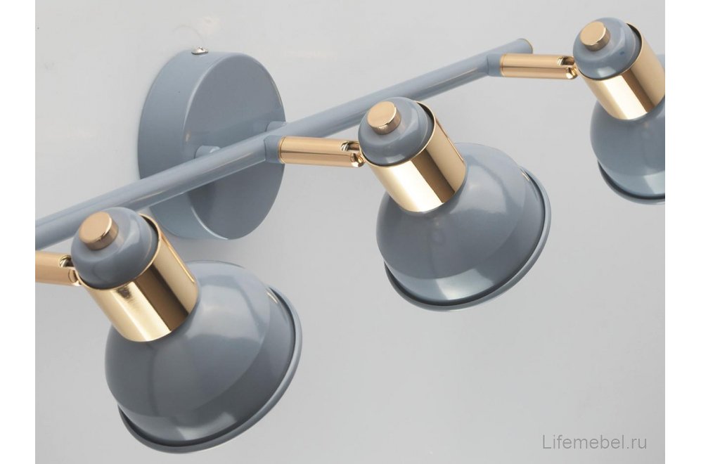 Спот Хоф 552020303