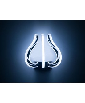 Настенный светильник Krown EL334W16.1