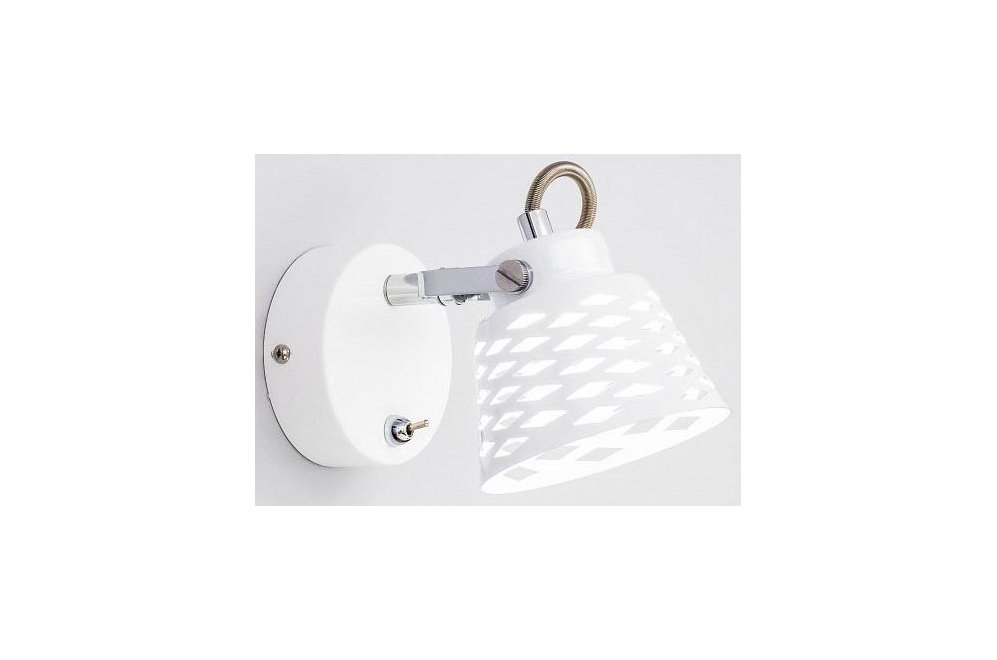 Спот Орегон CL508510