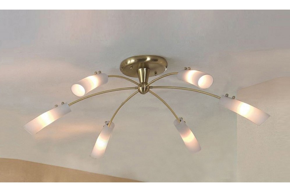 Потолочная люстра Citilux Ринго CL205162