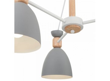 Потолочная люстра Delia FR5033CL-05W