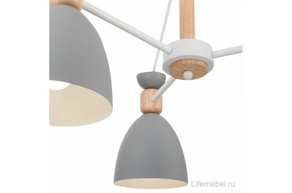 Потолочная люстра Delia FR5033CL-05W