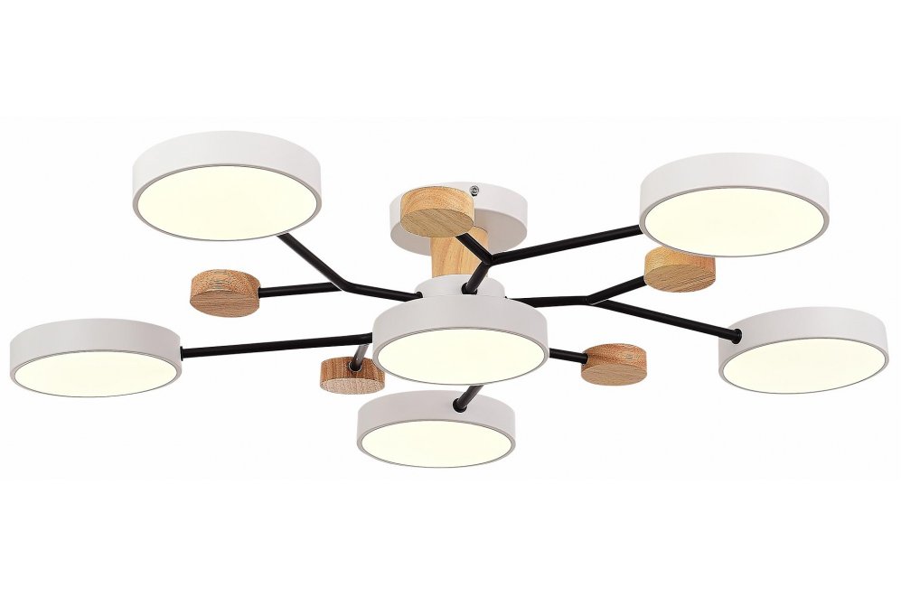 Потолочный светильник Faema SLE6006-502-06