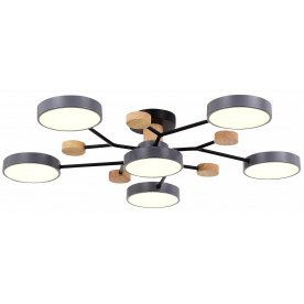 Потолочный светильник SLE6006-702-06