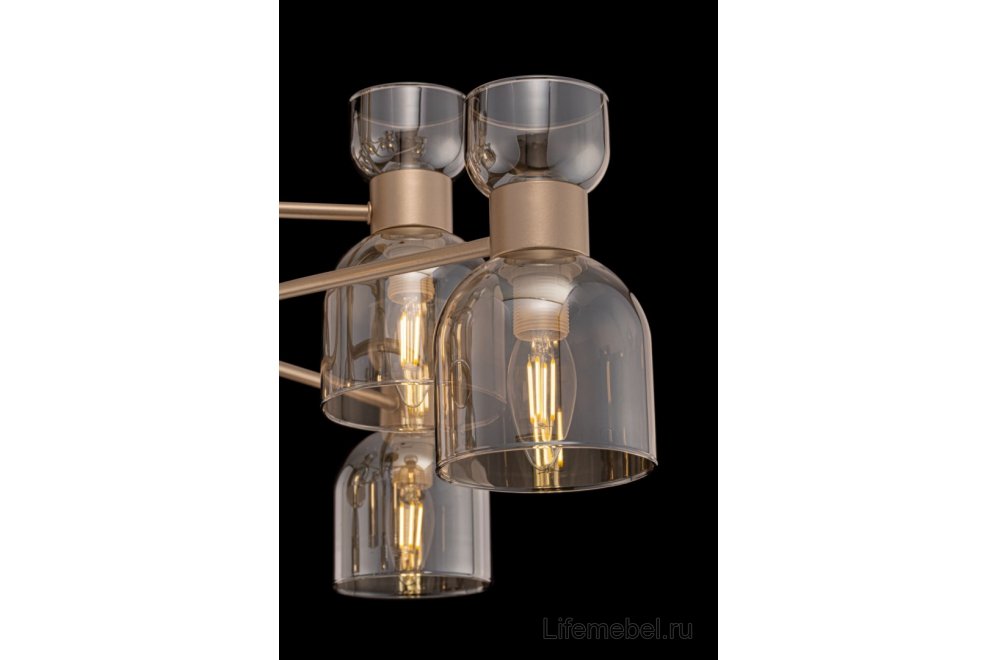 Потолочная люстра Isla FR5094PL-08G