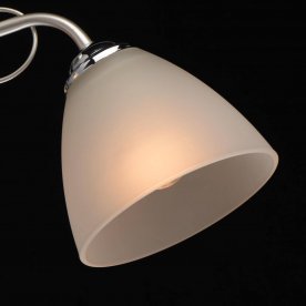 Потолочная люстра Нежность 676012903