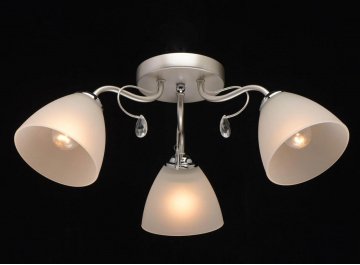 Потолочная люстра Нежность 676012903