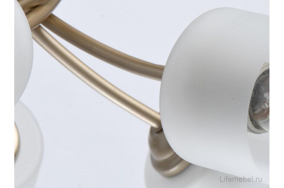 Потолочная люстра Олимпия 638014705