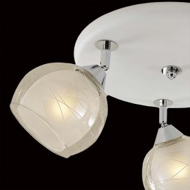 Спот Самба CL158131