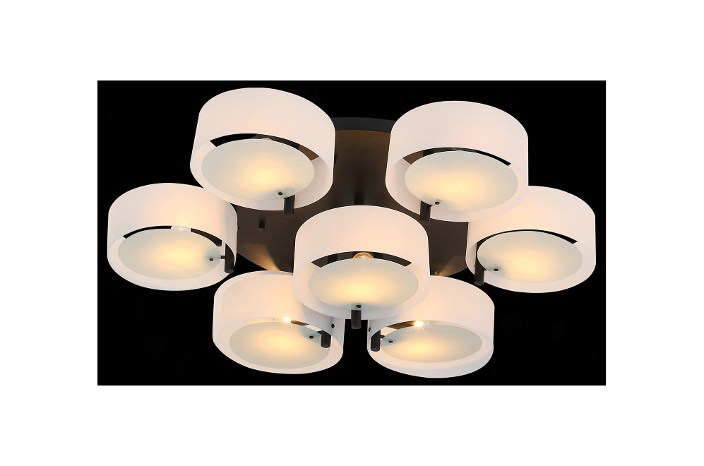 Потолочная люстра SL483.402.09