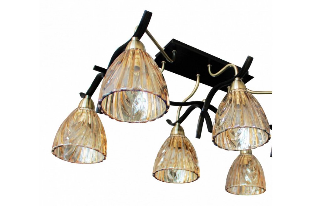 Потолочная люстра SL315.302.06