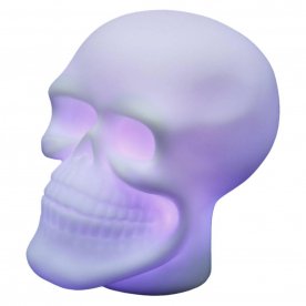 Настольная лампа Crane 28031-12