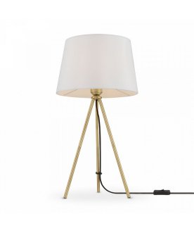 Настольная лампа FR5118TL-01BS