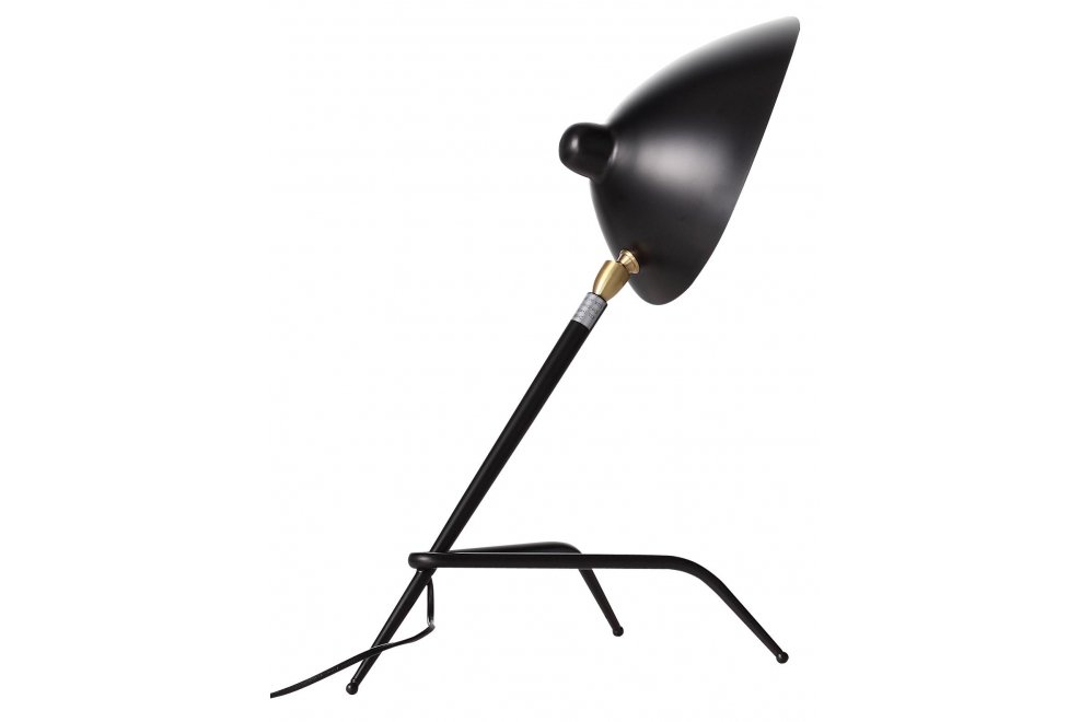 Настольная лампа Spruzzo SL305.404.01