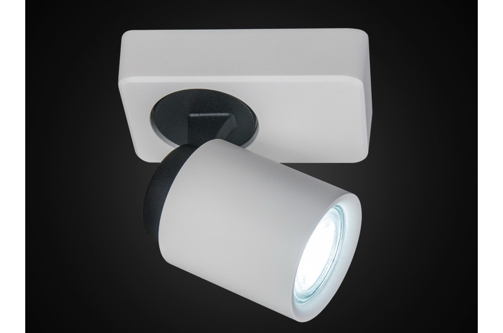 Спот Норман CL533510