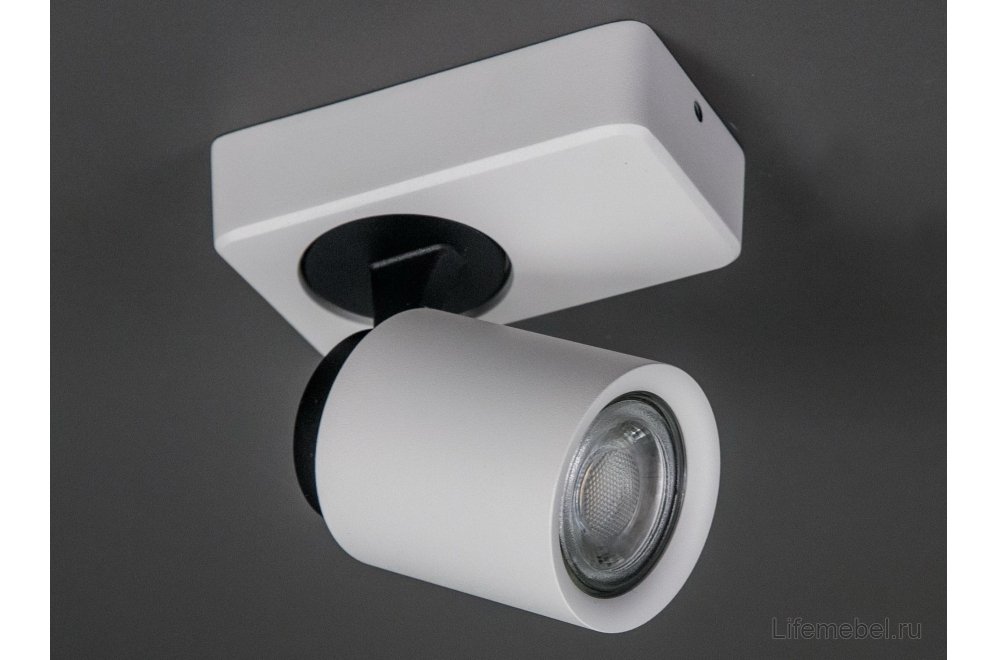 Спот Норман CL533510