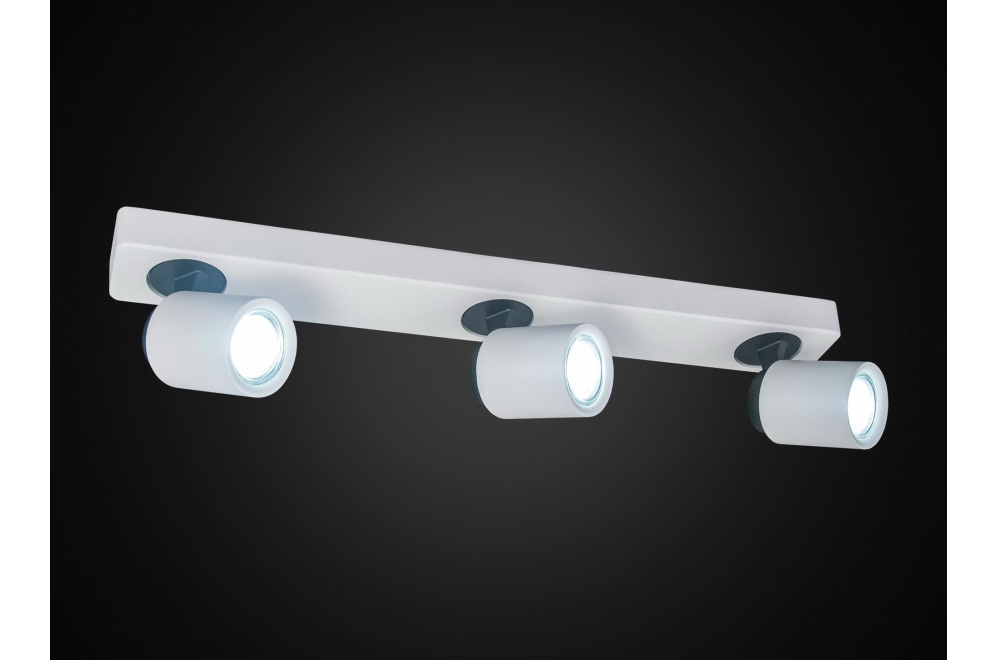 Спот Норман CL533530