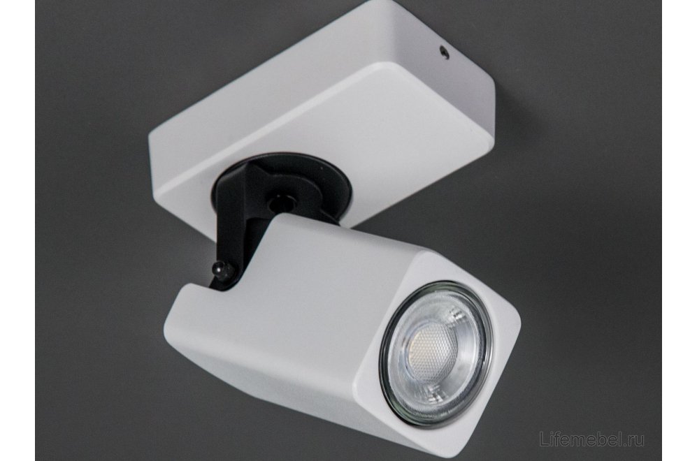 Спот Норман CL533610