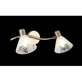 Спот Paola FR7001WL-02BZ