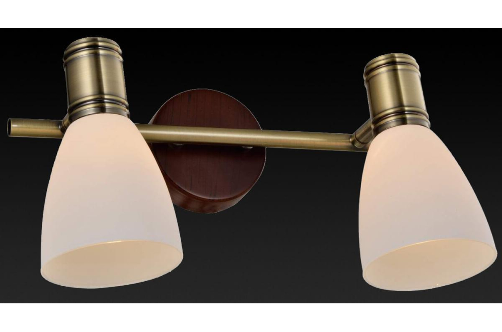 Спот Sharyl TL3720Y-02BB