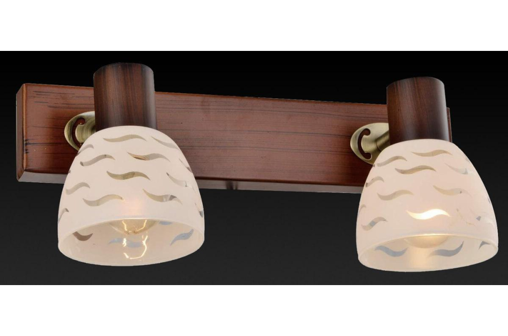 Спот Shayla TL3730Y-02BB