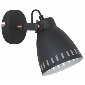 Спот WML-428-1 С02