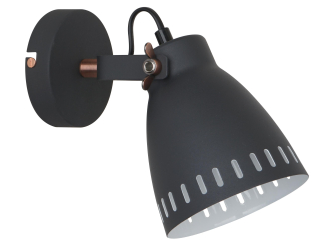 Спот WML-428-1 С02