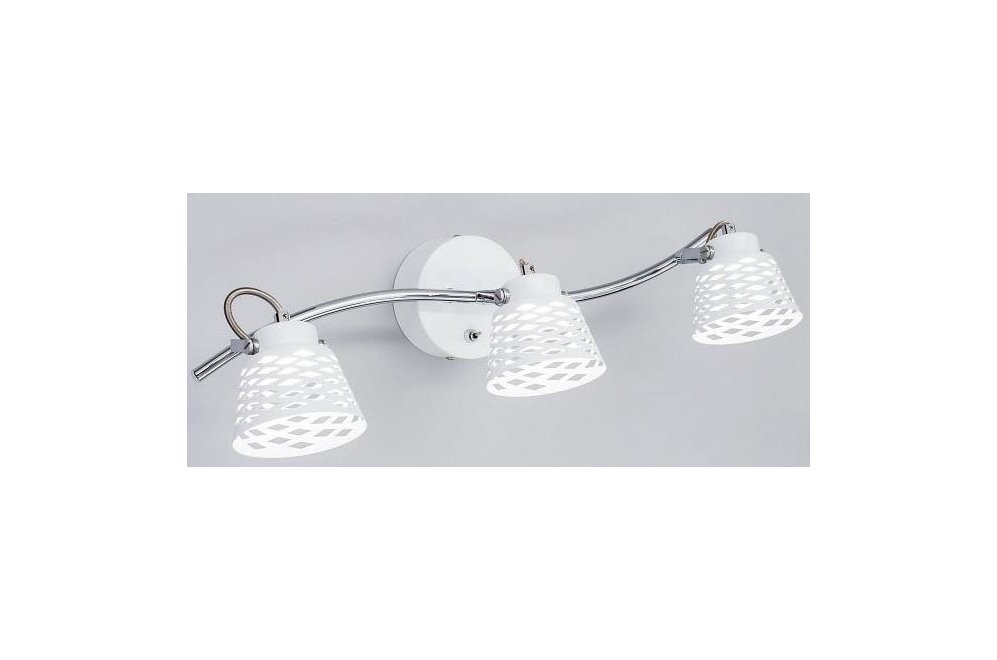 Спот Орегон CL508530