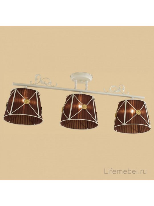 Потолочный светильник Дрезден CL409235