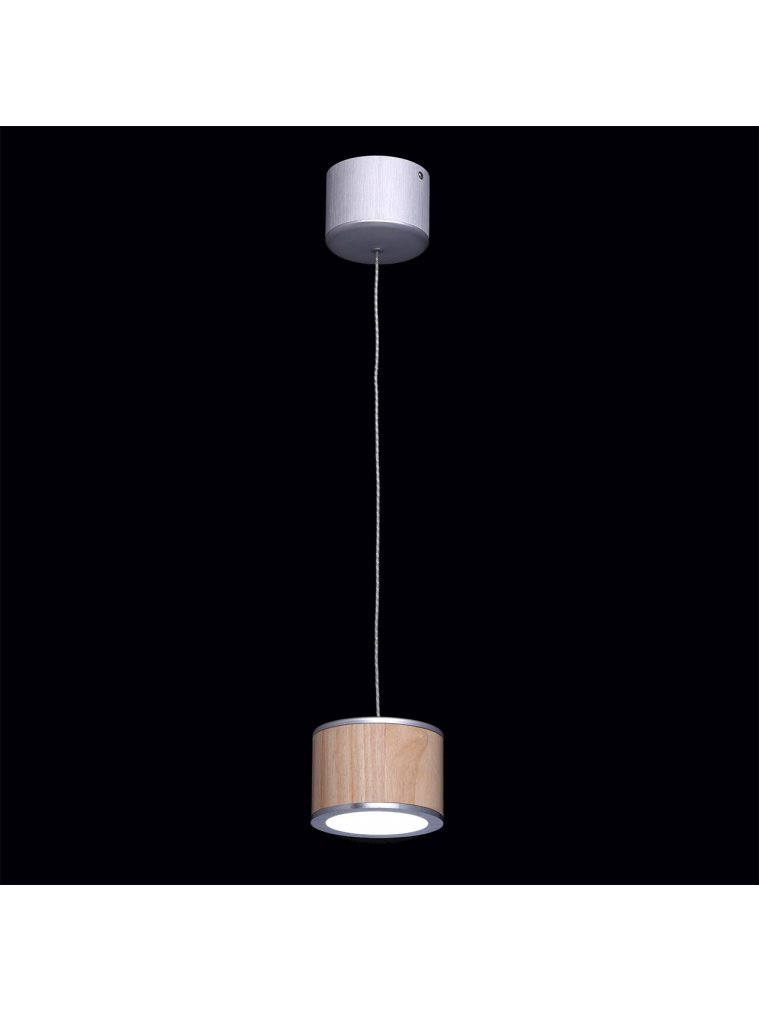 Подвесной светильник Фленсбург 609011801