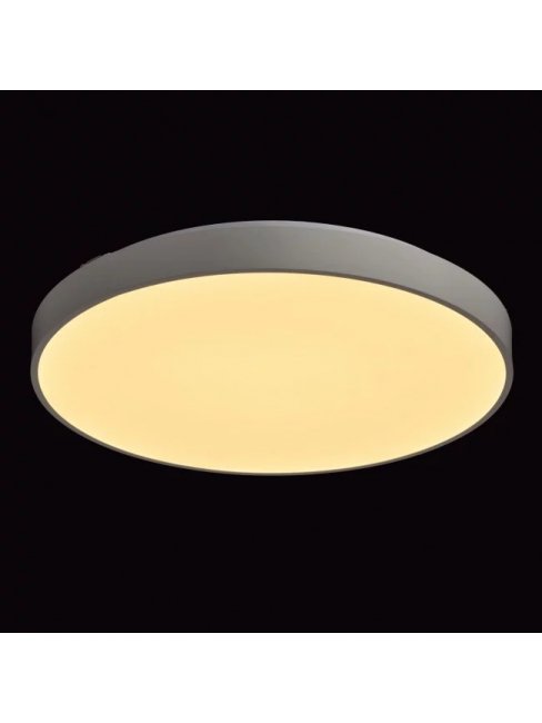 Потолочный светильник Ривз 674013101