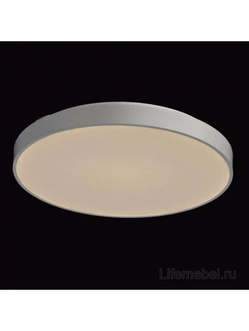 Потолочный светильник Ривз 674013101