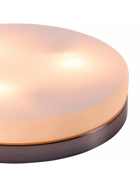 Настенно-потолочный светильник Opal 48403