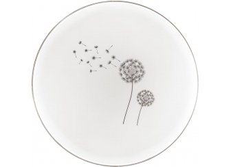 Настенно-потолочный светильник AIRITA 3005/DL