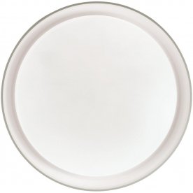 Настенно-потолочный светильник BIONIC 3030/DL