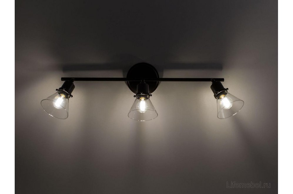 Настенный светильник Бисмарк CL564531