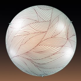 Настенно-потолочный светильник Desi 3210