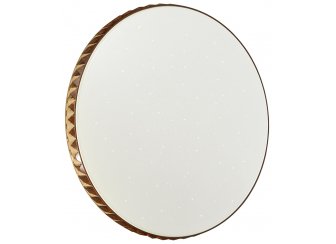 Настенно-потолочный светильник Dina 2078/DL